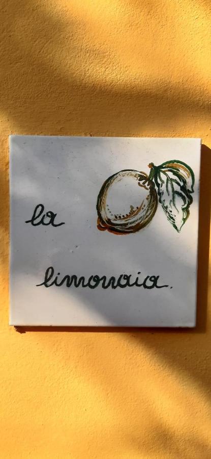 فيلا La Limonaia فلورنس المظهر الخارجي الصورة